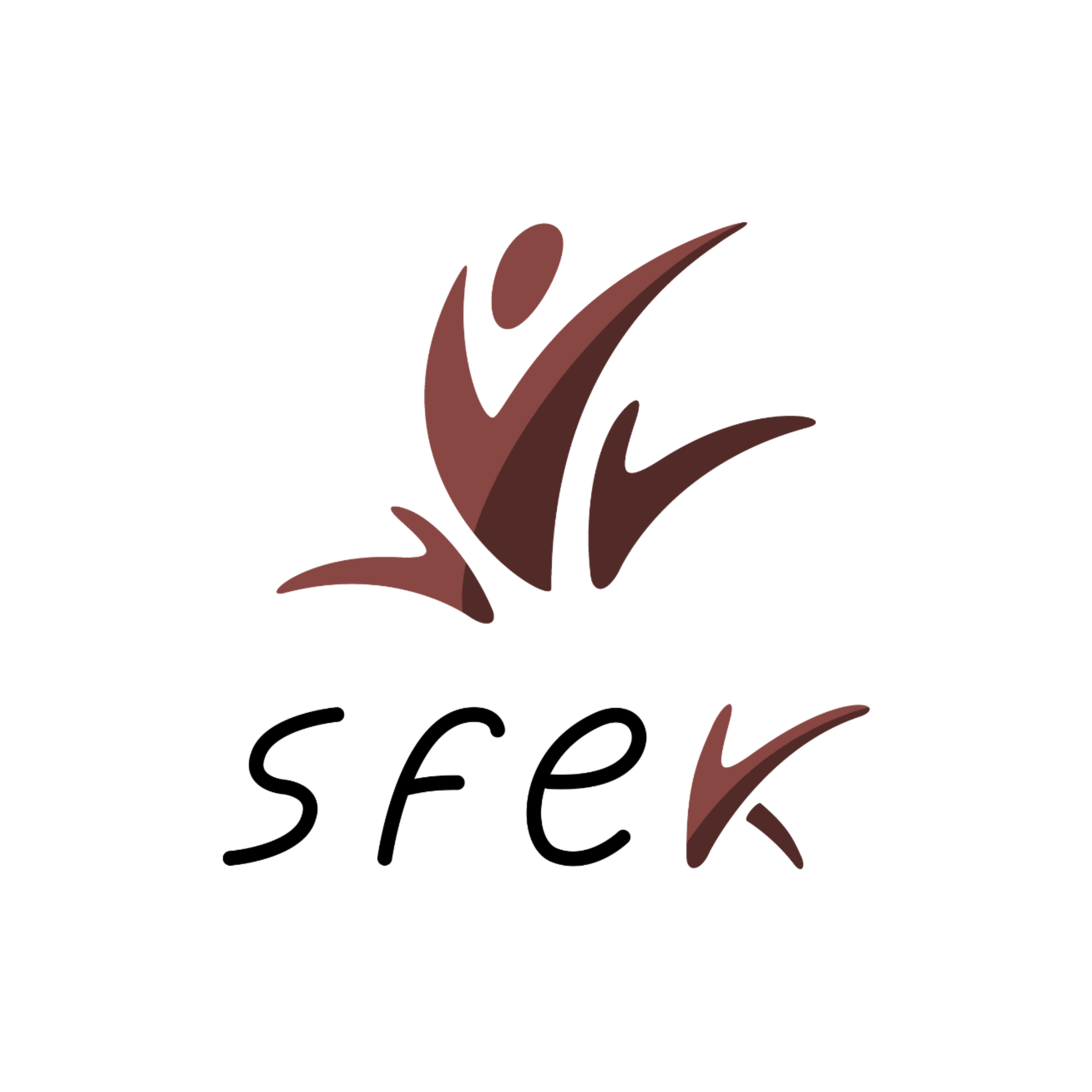 Symposium Francophone des Etudiant·e·s en Kinésithérapie