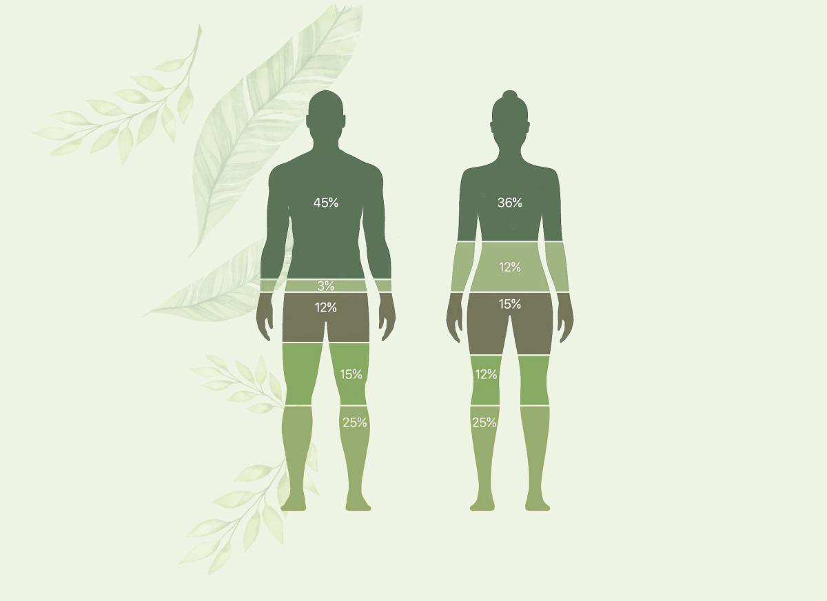 Test impedenziometrico Test impedenziometrico