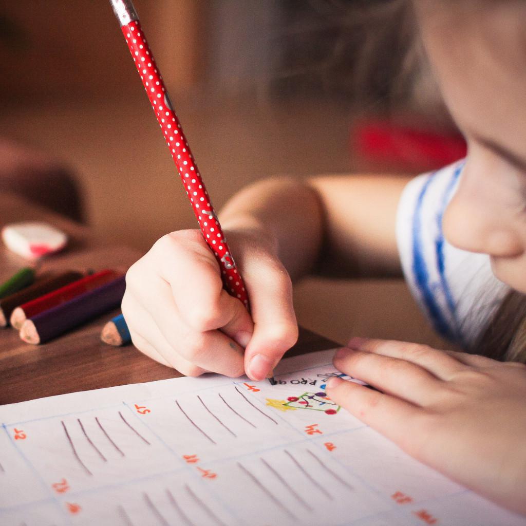 Le primaire