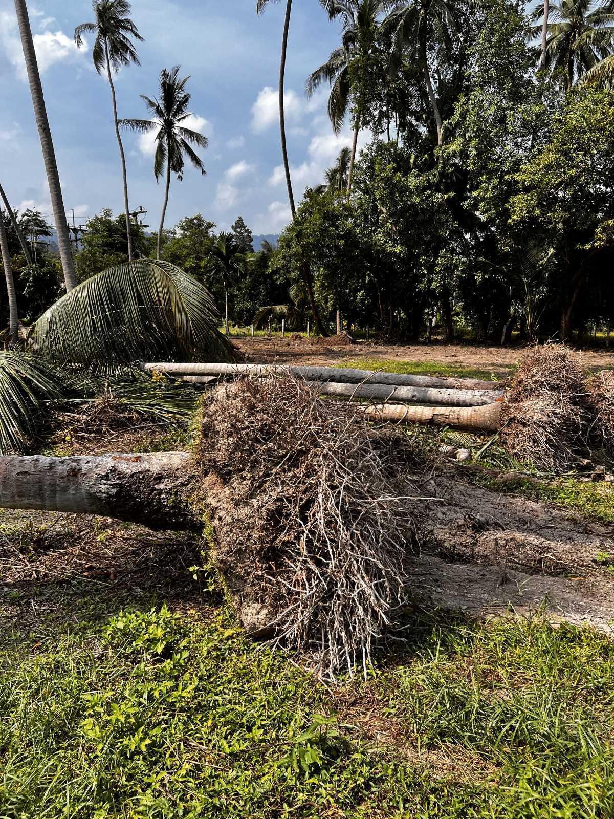 3. La Préparation du Terrain : Mettre les Bases 3. La Préparation du Terrain : Mettre les Bases