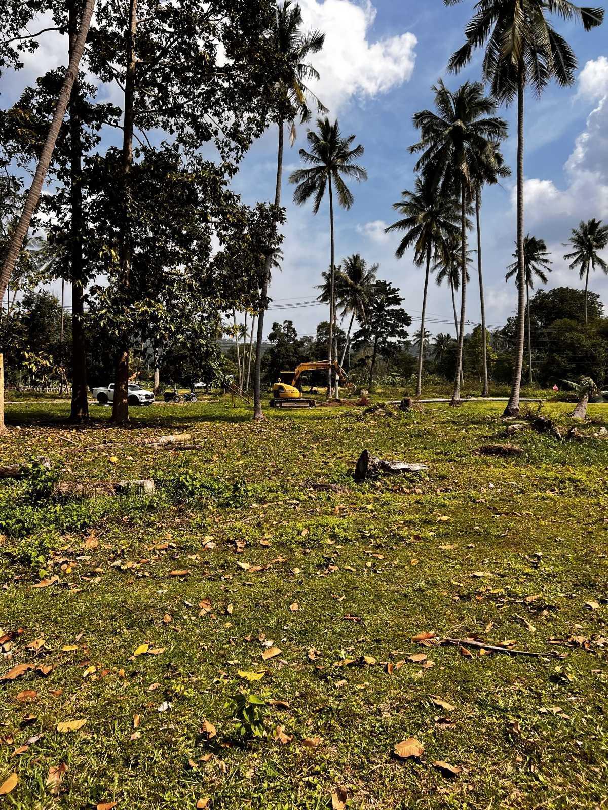 3. La Préparation du Terrain : Mettre les Bases 3. La Préparation du Terrain : Mettre les Bases
