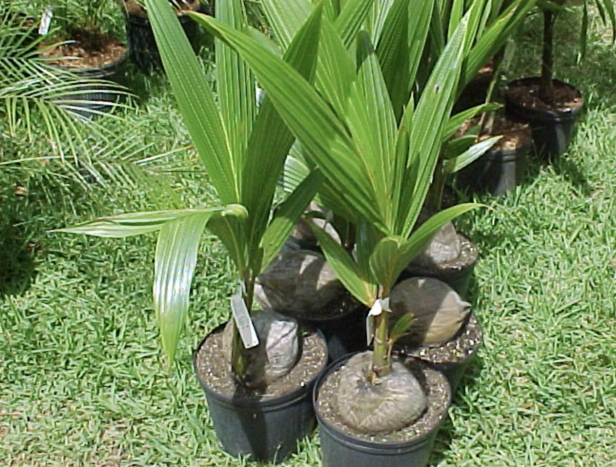 3. La Préparation du Terrain : Mettre les Bases 3. La Préparation du Terrain : Mettre les Bases