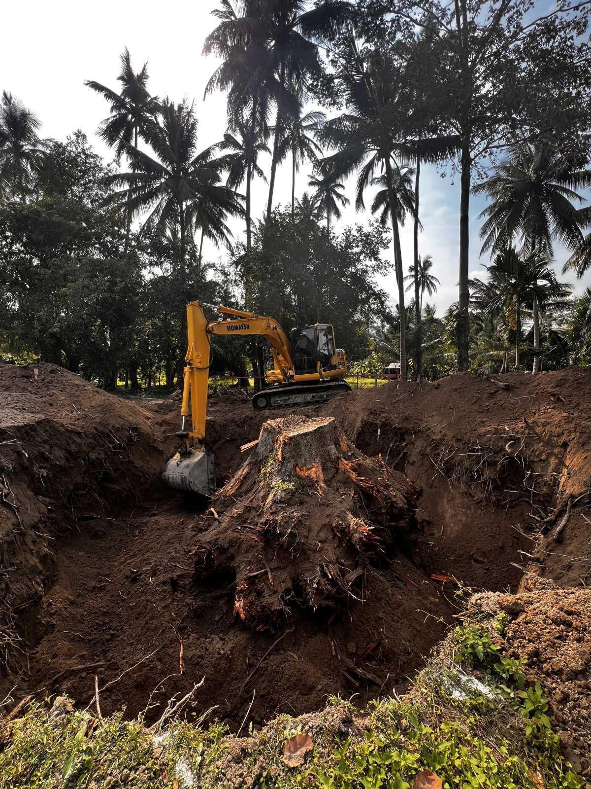 L’Extraction Impressionnante L’Extraction Impressionnante