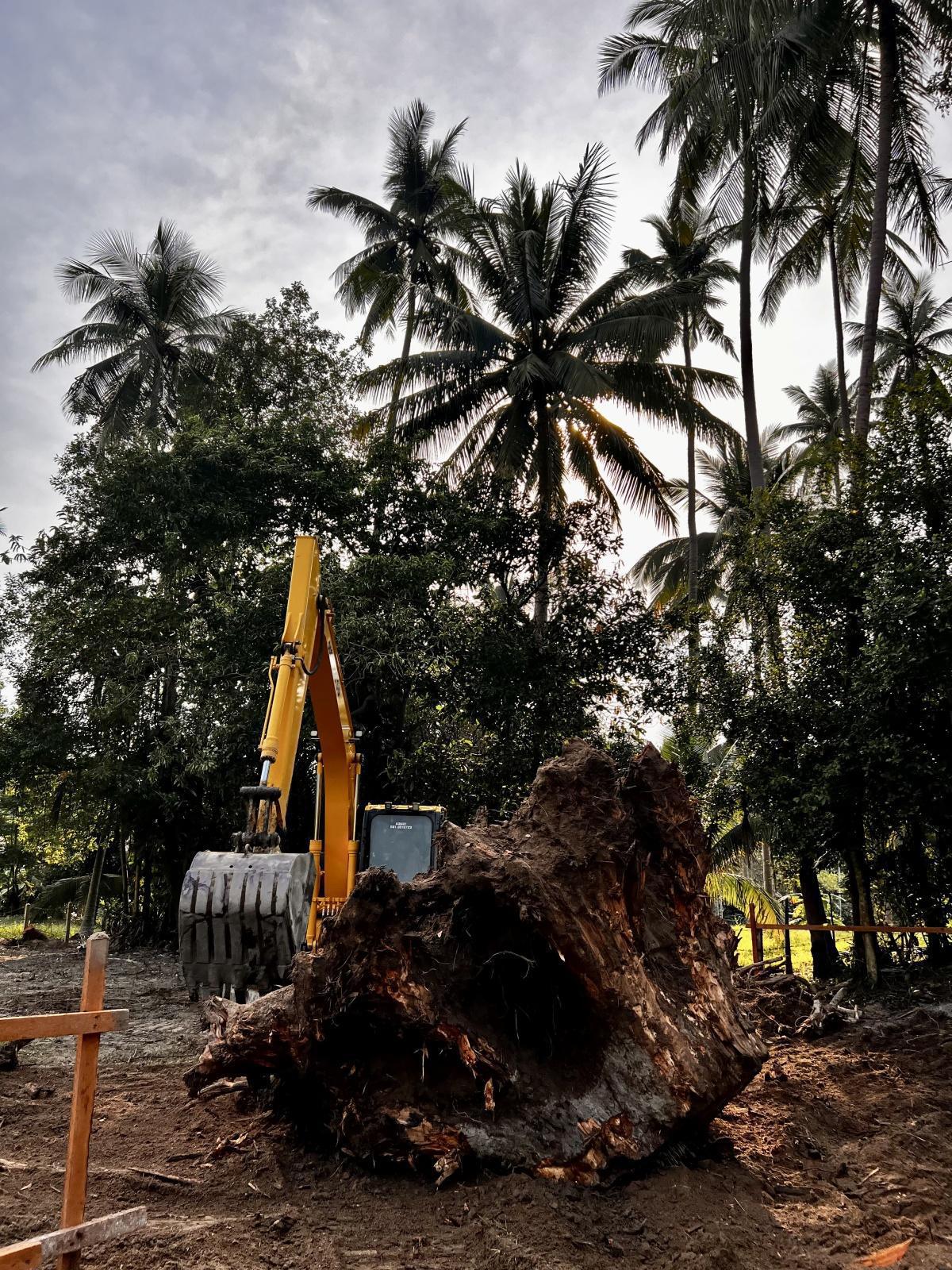 L’Extraction Impressionnante L’Extraction Impressionnante