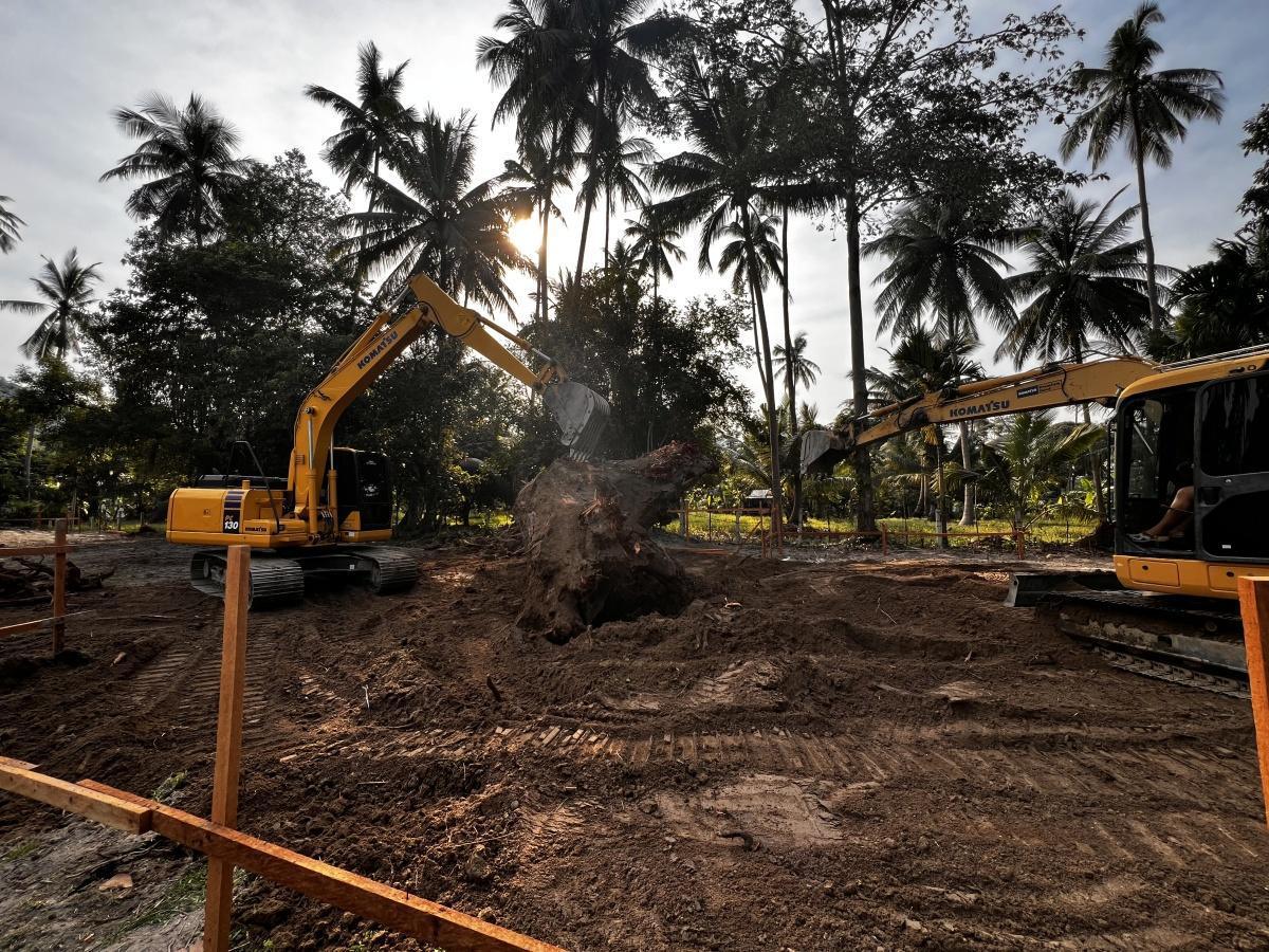 L’Extraction Impressionnante L’Extraction Impressionnante