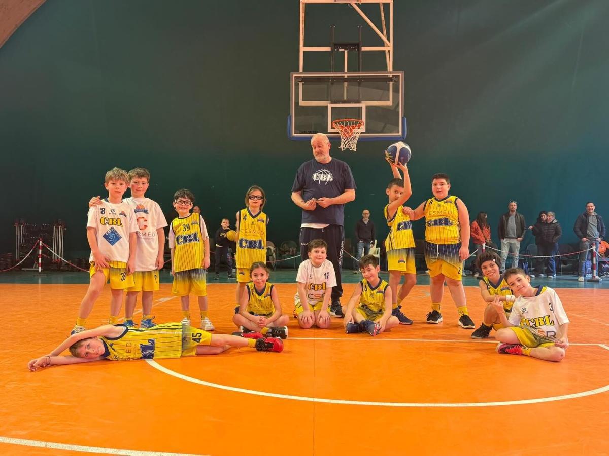 MiniBasket MiniBasket