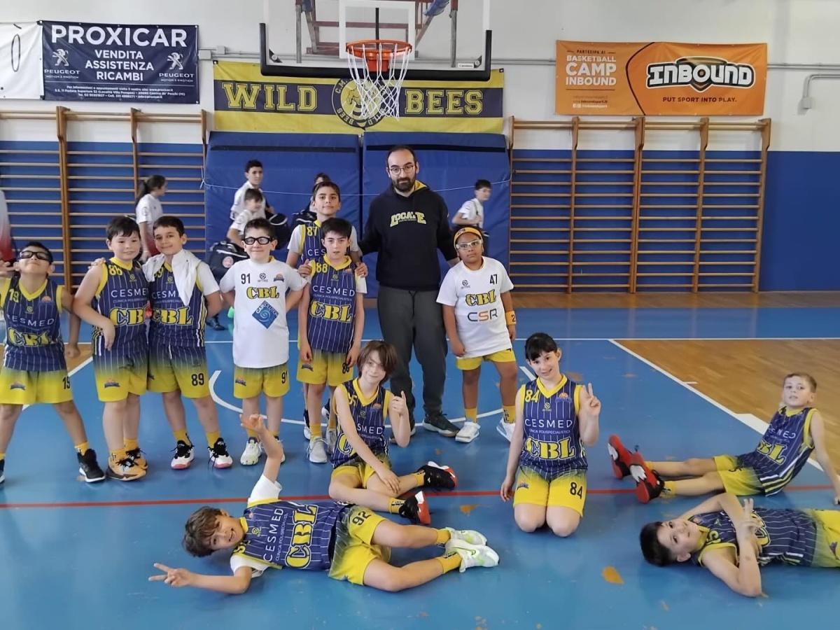 MiniBasket MiniBasket