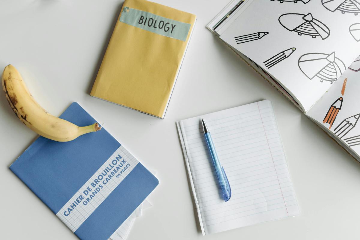 Ecole élémentaire Les Guernazelles