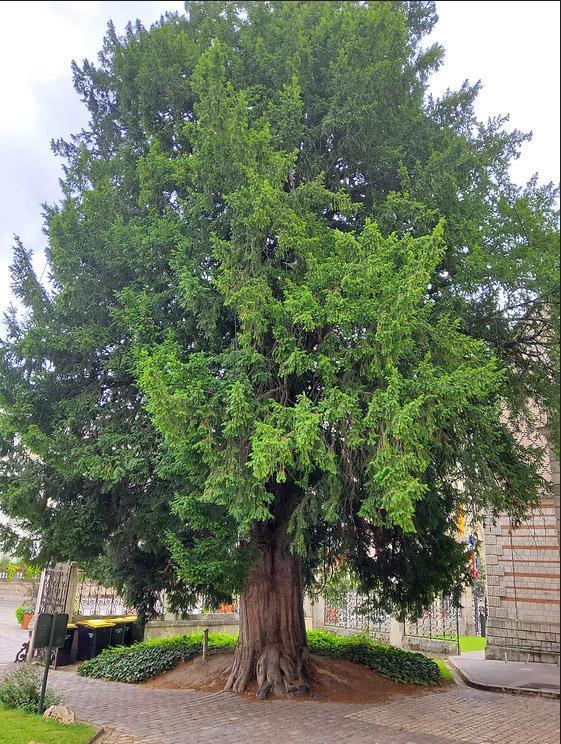 Place de l'Etape