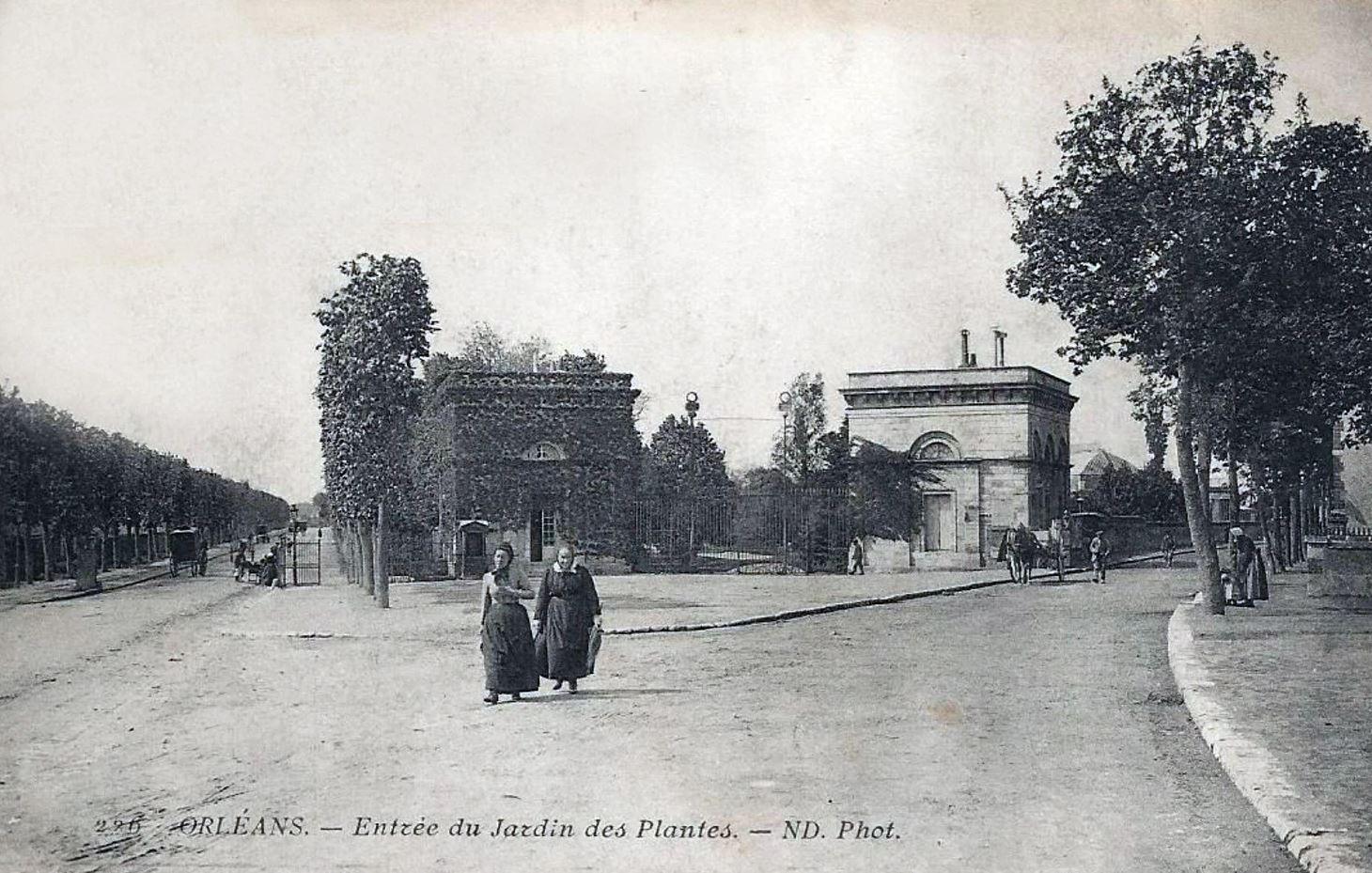 Avenue de Saint-Mesmin