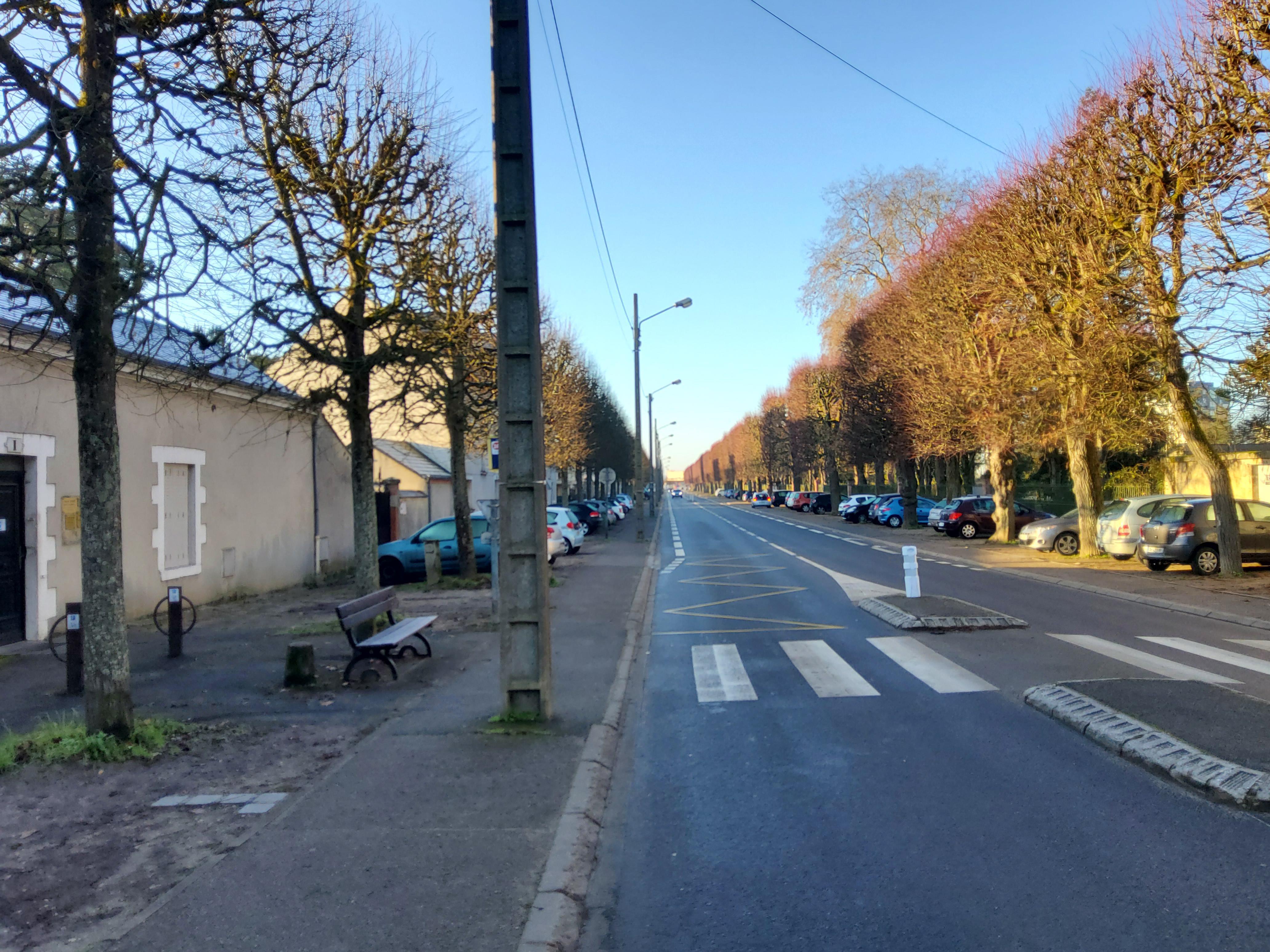 Avenue de Saint-Mesmin 