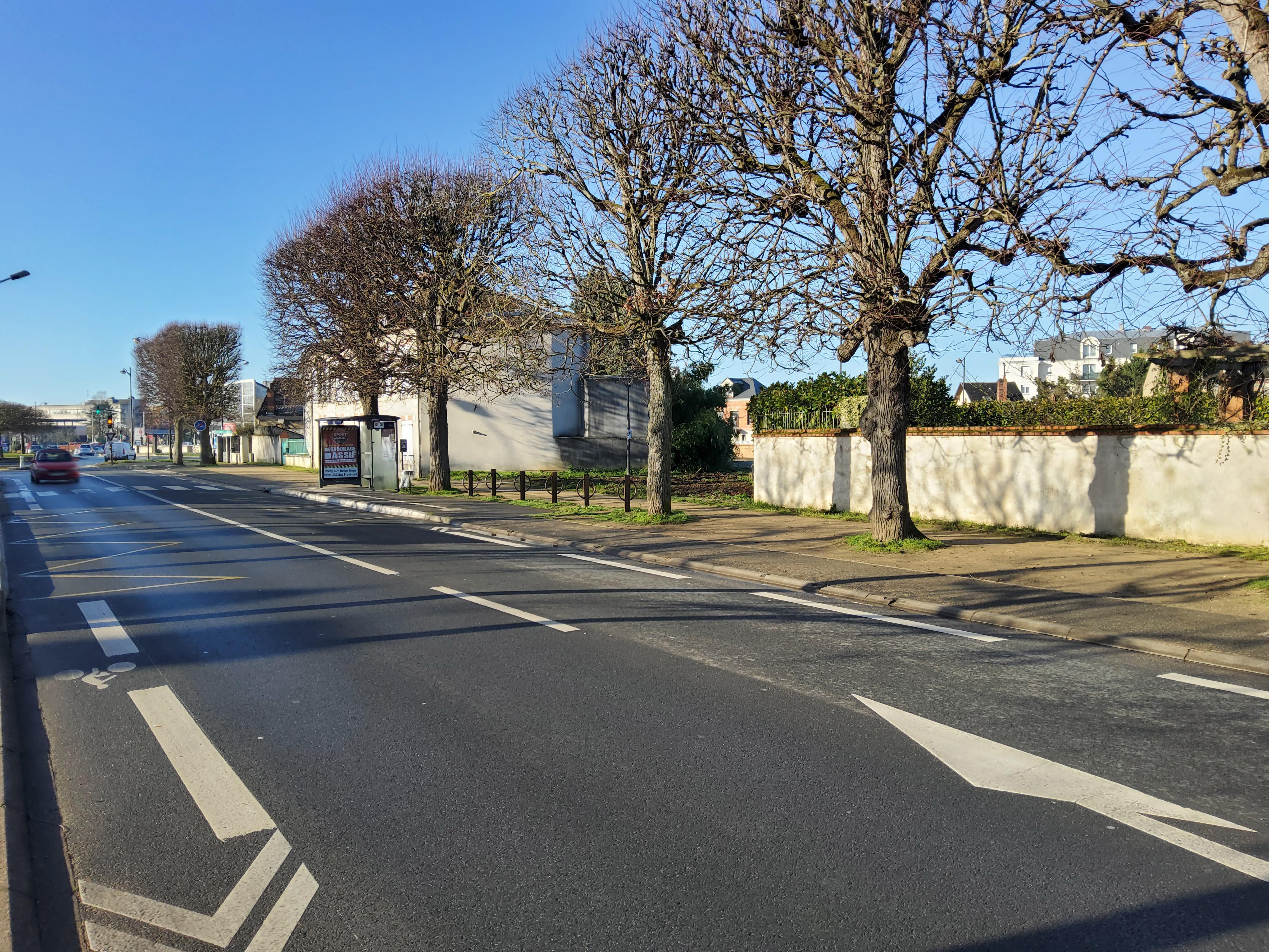 Avenue de Saint-Mesmin