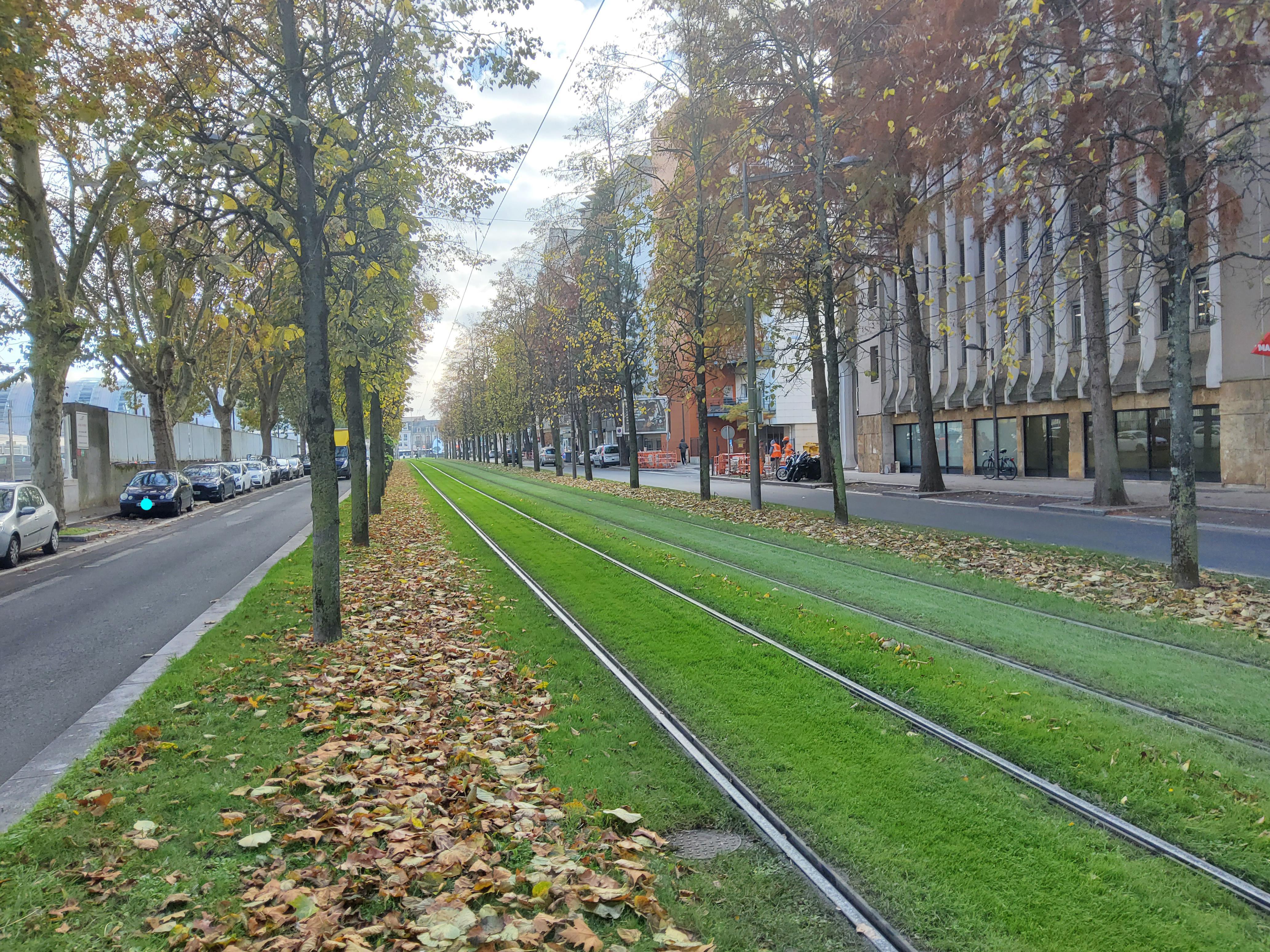 Avenue de Paris 