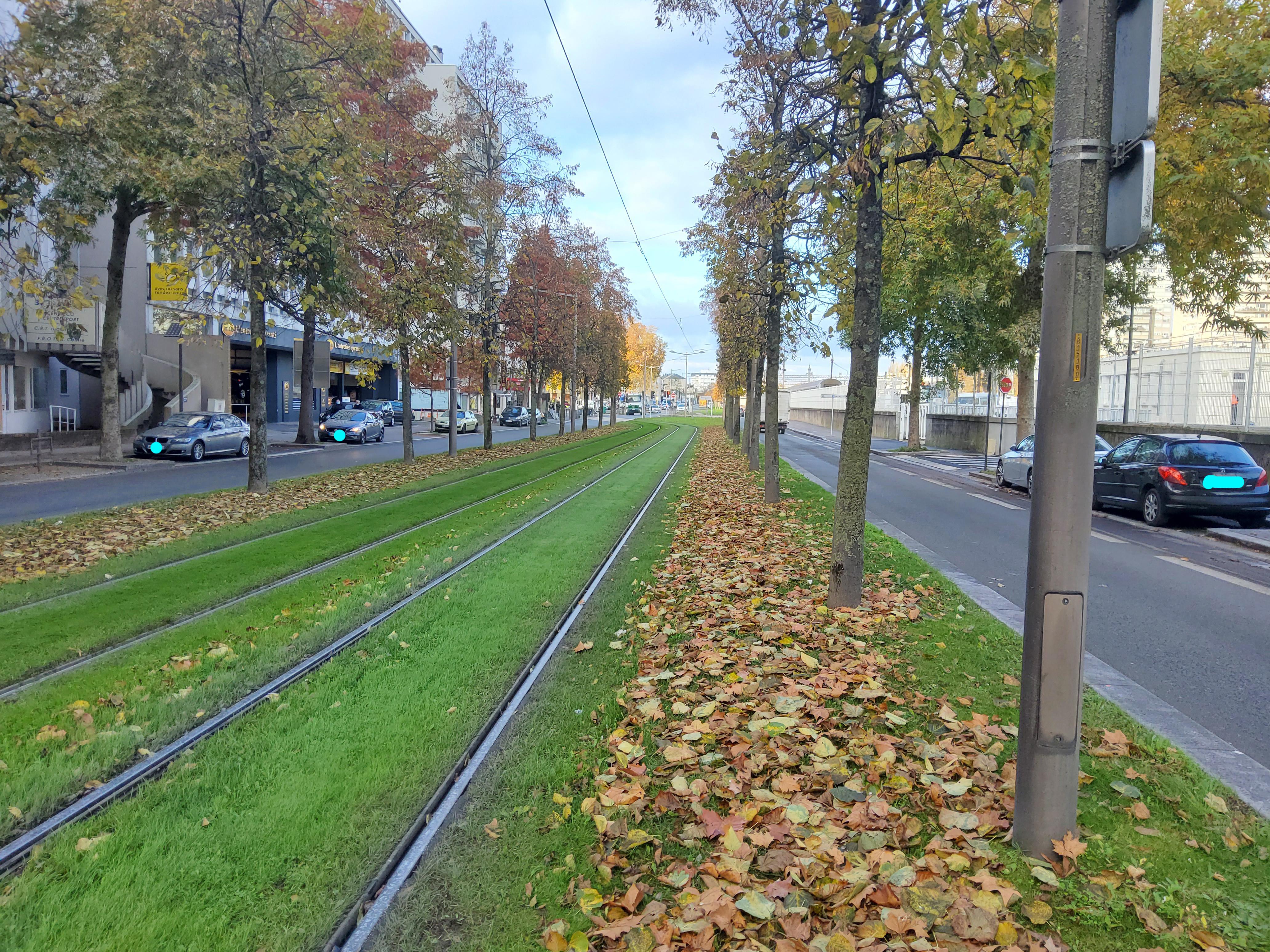 Avenue de Paris