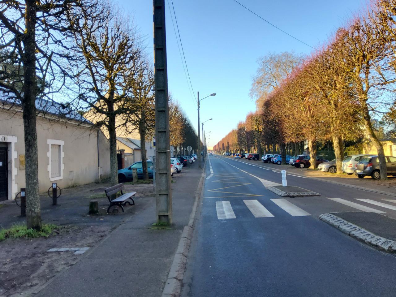 Avenue de Saint-Mesmin 