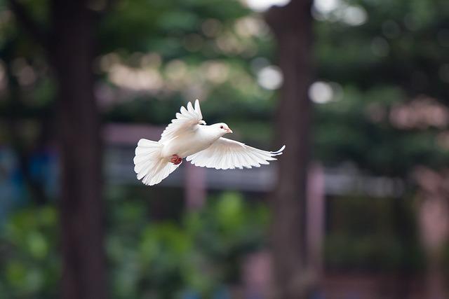 Histoire : il y a 80 ans, Hiroshima et Nagasaki