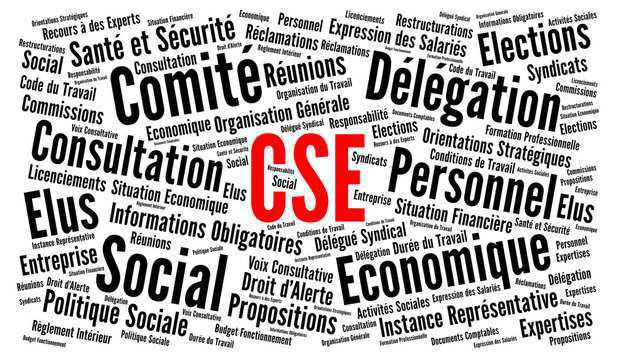 Compte Rendu CSE fevrier 2025