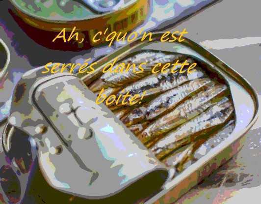 Lettre ouverte : les sardines persistent, à vous de signer !