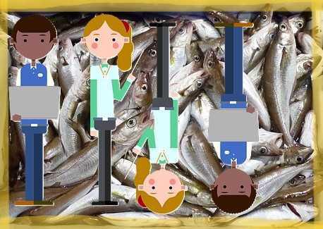Sardines : 50 ans d'histoire des locaux de travail LTA...