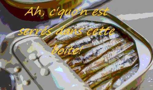 Sardines: dernière ligne droite pour signer la lettre ouverte des sardines ! Sardines: dernière ligne droite pour signer la lettre ouverte des sardines !