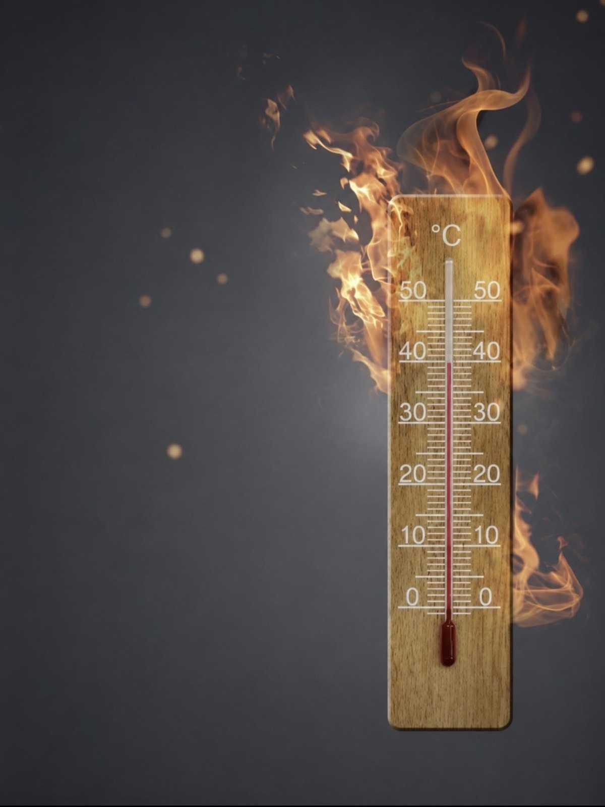🔥Canicule: qu'attend la direction pour agir?