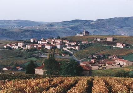 Saint-Laurent-d'Oingt ( 69620 - Rhône )