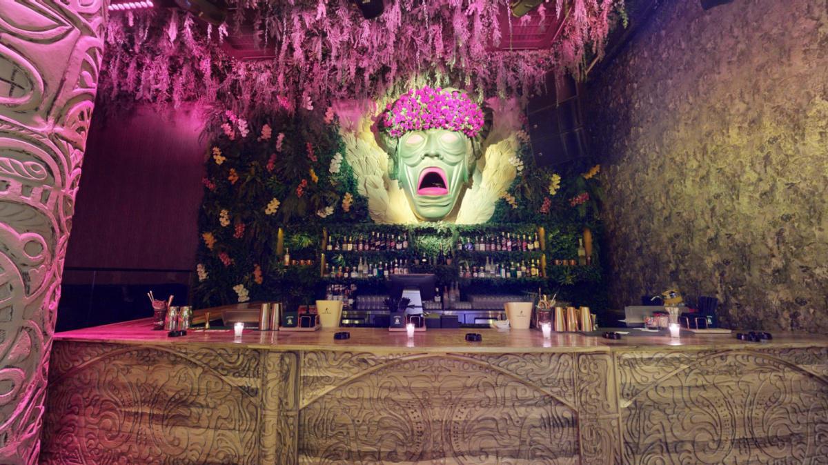 L’Amazonie et l’Afrique tropicale s’invitent dans la cité ocre L’Amazonie et l’Afrique tropicale s’invitent dans la cité ocre