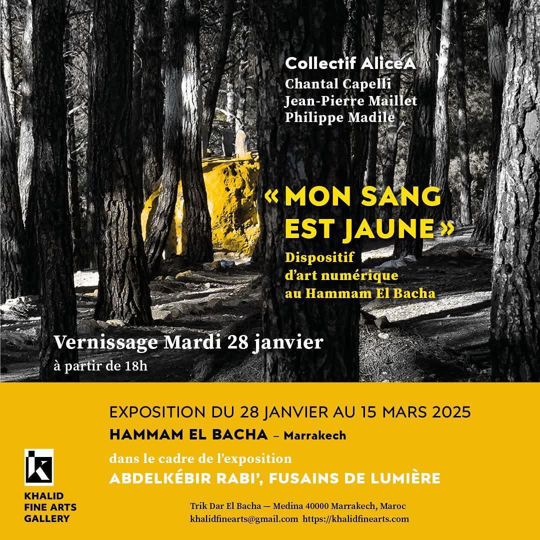 ''Mon sang est jaune'' au Hammam El Bacha espace d'art numérique ''Mon sang est jaune'' au Hammam El Bacha espace d'art numérique