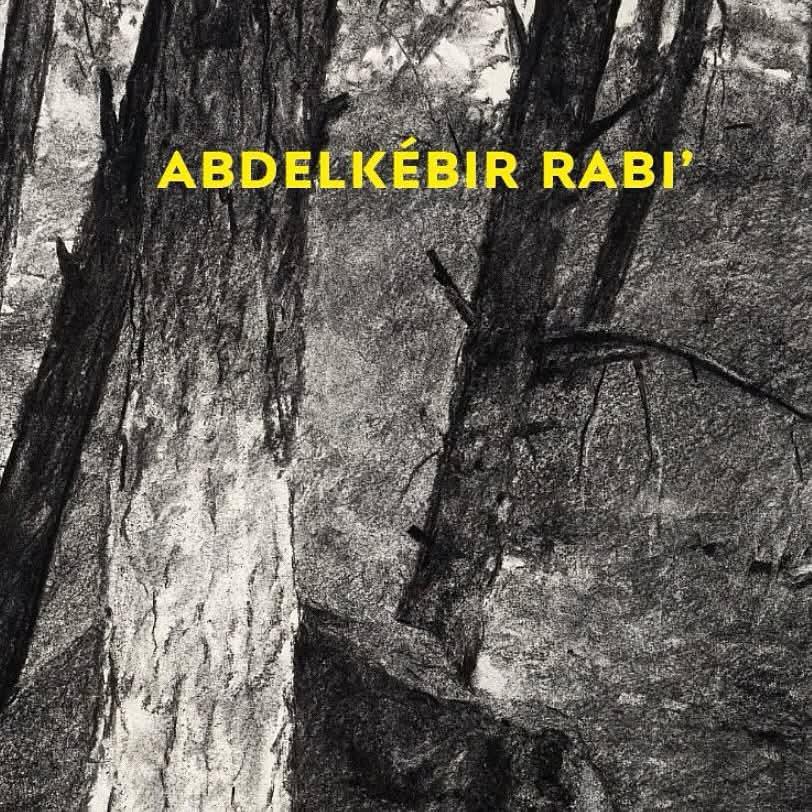 ''Mon sang est jaune'' au Hammam El Bacha espace d'art numérique ''Mon sang est jaune'' au Hammam El Bacha espace d'art numérique