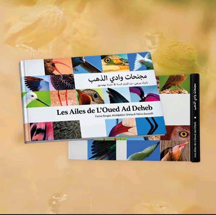 Présentation de l’ouvrage "Les Ailes de l’Oued Ad Deheb" à Dar Cherifa Présentation de l’ouvrage "Les Ailes de l’Oued Ad Deheb" à Dar Cherifa