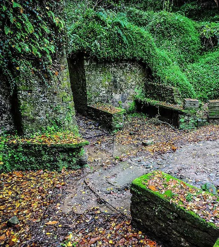 Sito Tre Fontane - Three Fountains Site