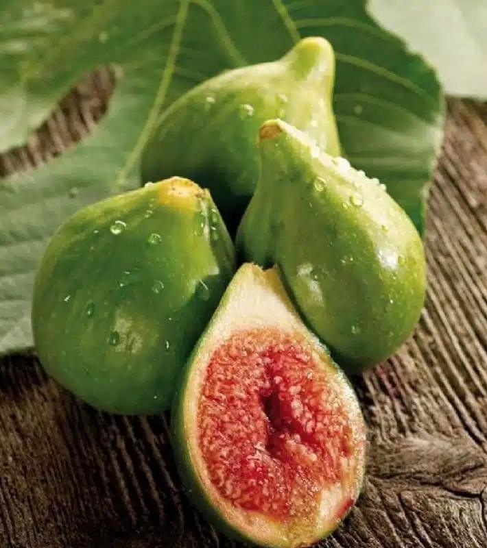 Fico Binello Fico Binello