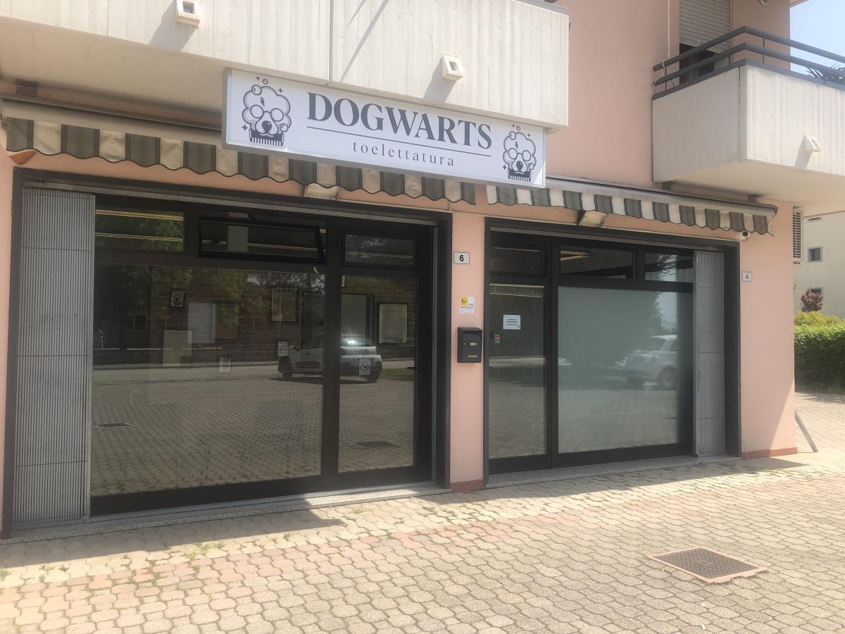 Dogwarts Toelettatura