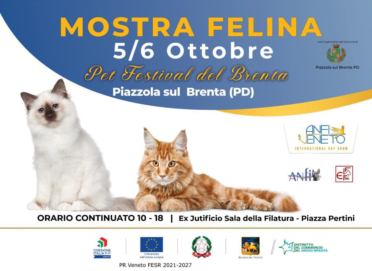 Mostra Felina - Pet Festival del Brenta