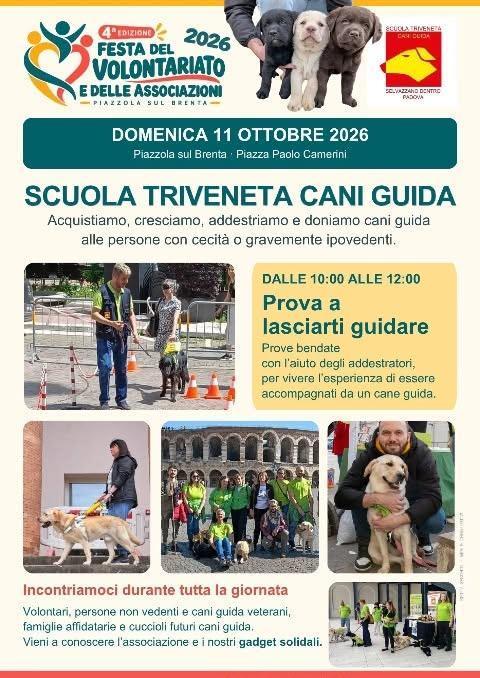Prove bendate con la Scuola Triveneta Cani Guida APS - Festa del Volontariato e delle Associazioni (Ore 10:00-12:00)