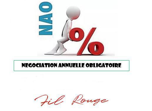 [NAO 2023]Négociation Annuelle Obligatoire sur les salaires R3
