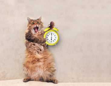 Les horaires variables