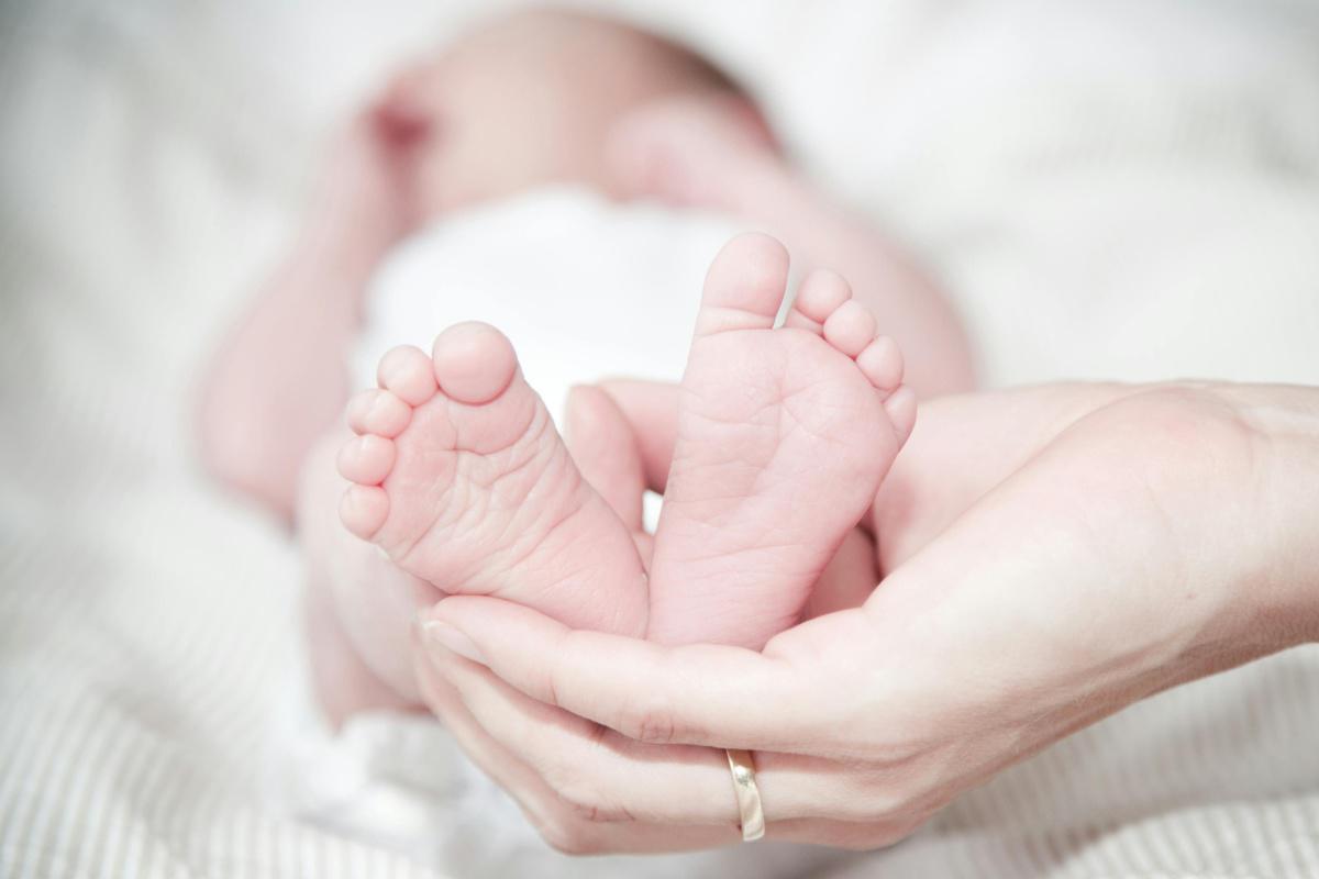 Maternité / adoption