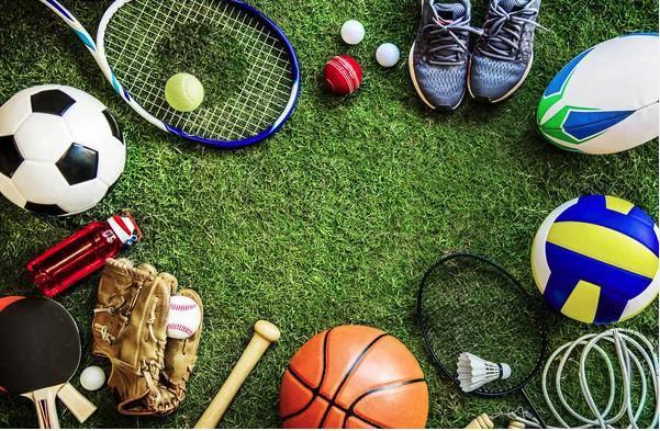 SUBVENTION SPORT 2024 SUBVENTION SPORT 2024