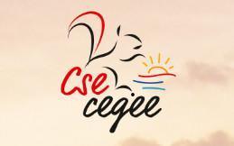 LE SITE DU CSE CEGEE (Prestations des Activités Sociales et Culturelles et Billetterie) LE SITE DU CSE CEGEE (Prestations des Activités Sociales et Culturelles et Billetterie)