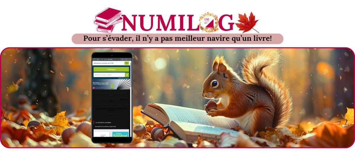 NUMILOG BIBLIOTHEQUE NUMERIQUE
