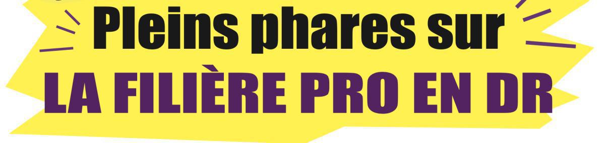 Pleins phares su la filière professionnelle en DR