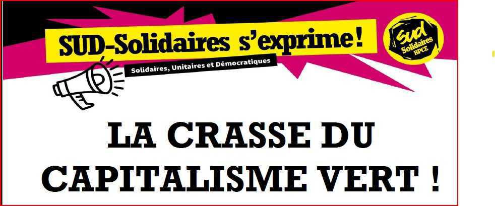 LA CRASSE DU CAPITALISME VERT
