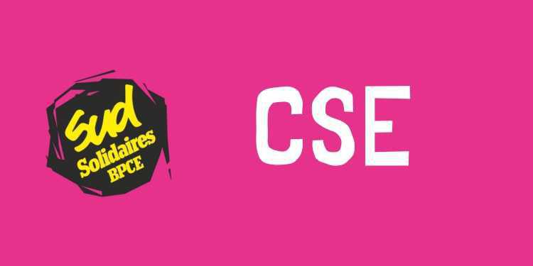 Cse extra : Politique sociale / formation / Restitution rapport 