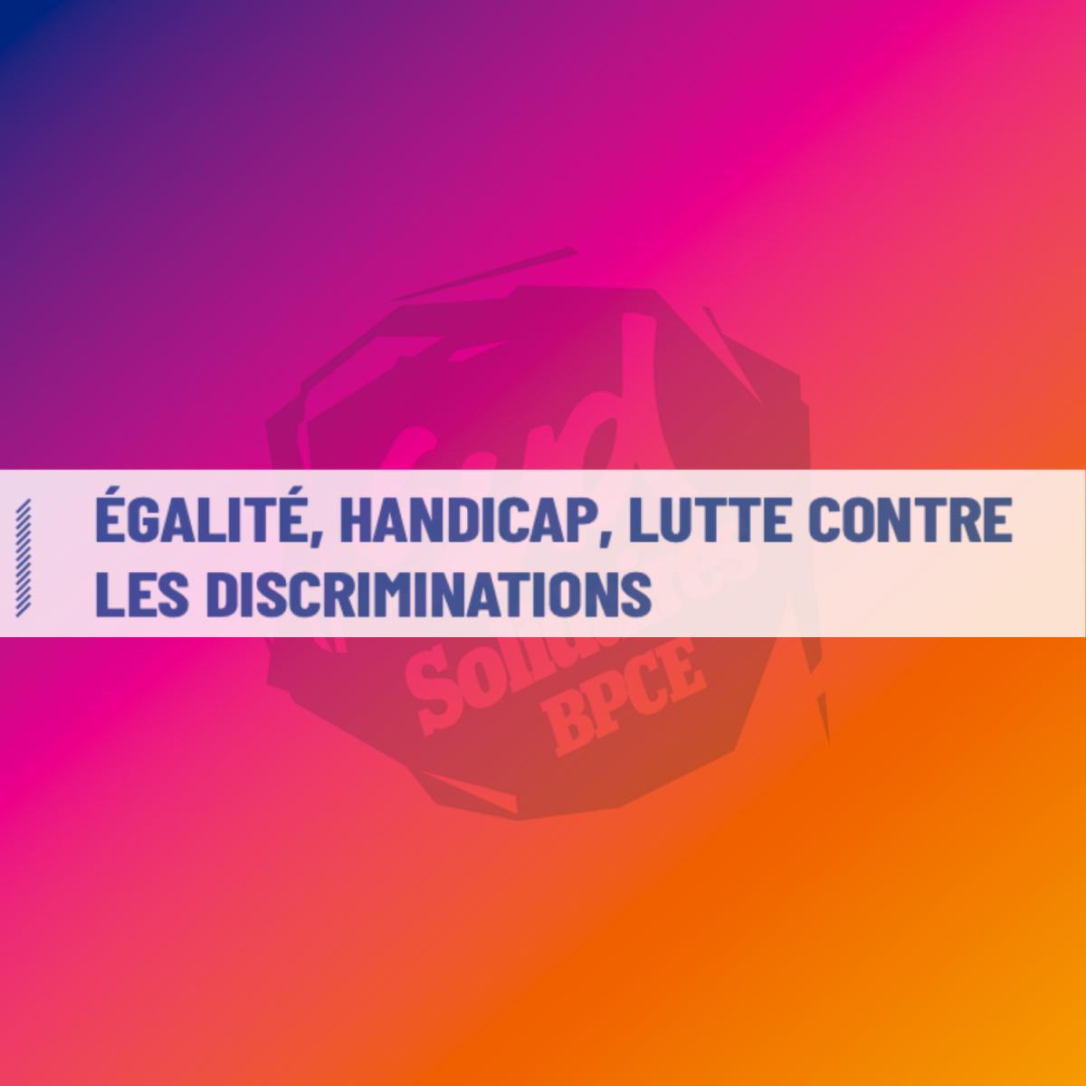 ÉGALITÉ, HANDICAP, LUTTE CONTRE LES DISCRIMINATIONS