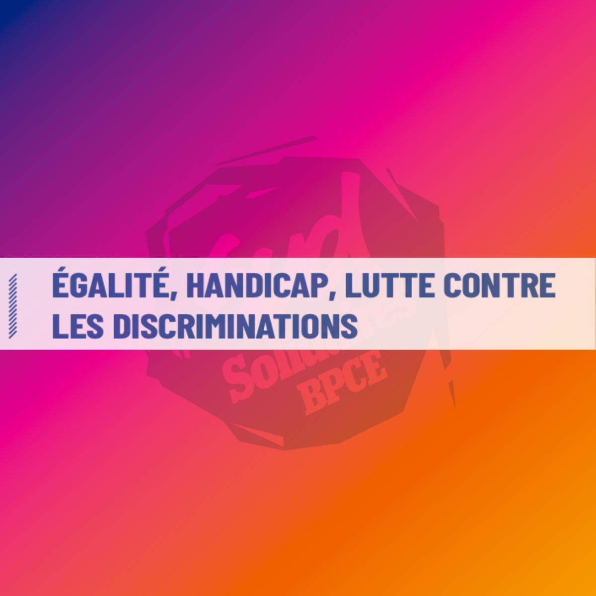 ÉGALITÉ, HANDICAP, LUTTE CONTRE LES DISCRIMINATIONS ÉGALITÉ, HANDICAP, LUTTE CONTRE LES DISCRIMINATIONS