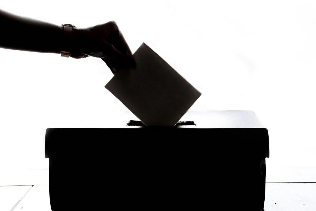 Elections SLVie