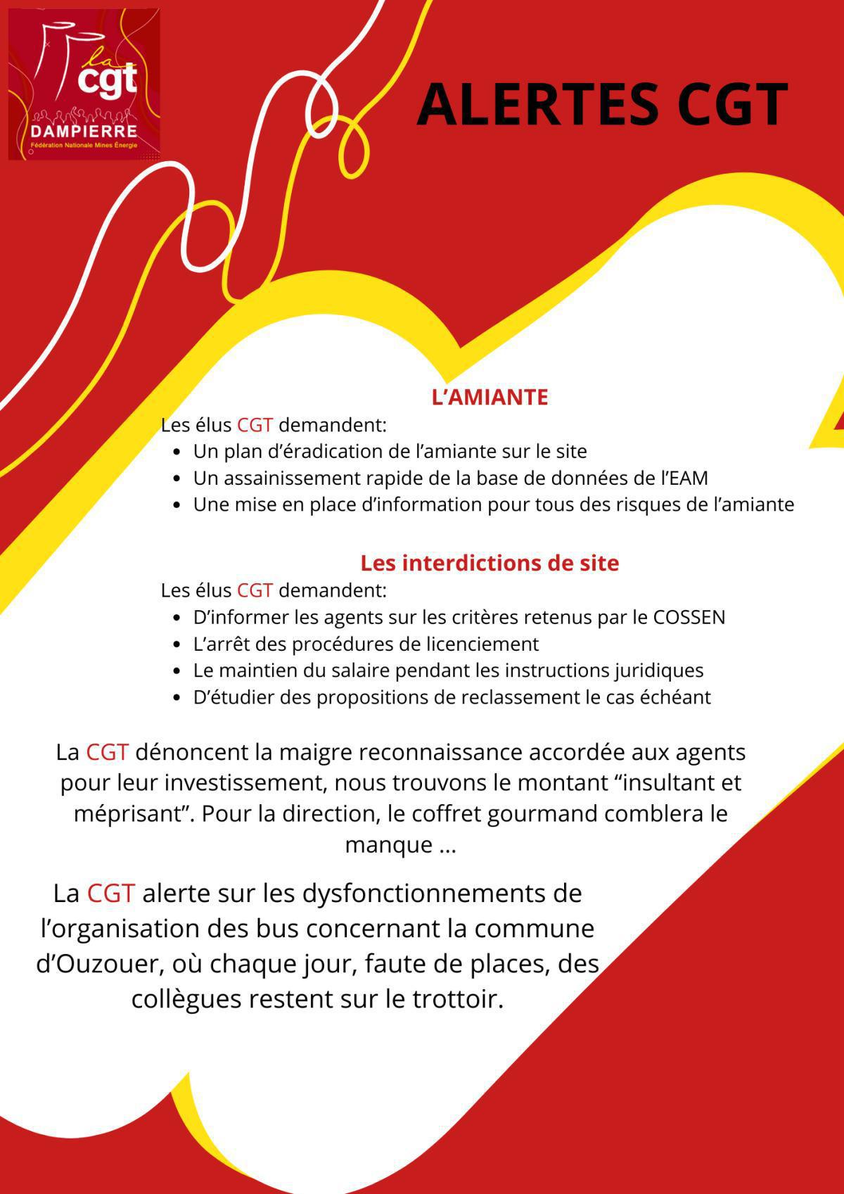 CR CGT CSE du 13 mars 2025