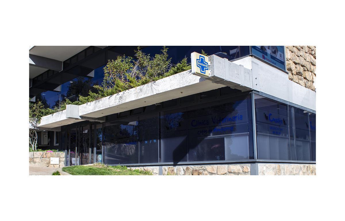 CLINICA VETERINARIA HOME VETS