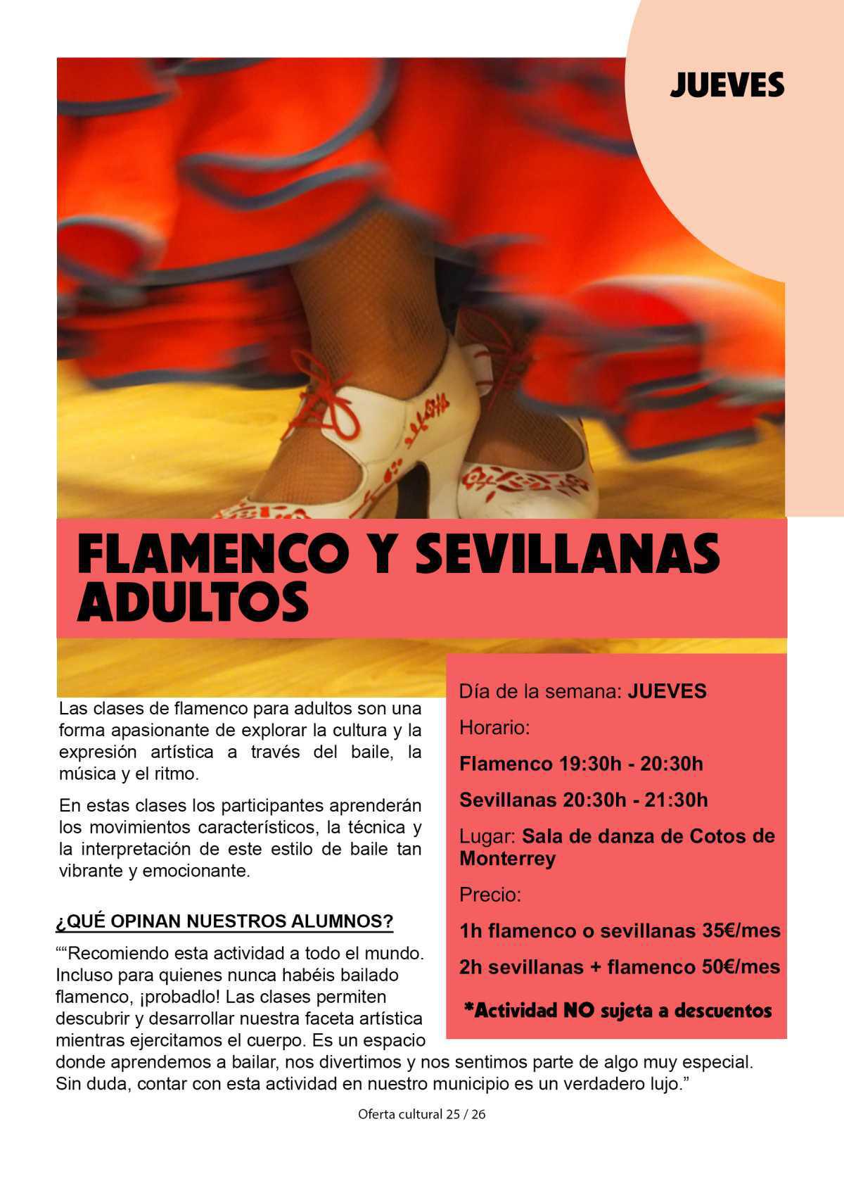 Flamenco y Sevillanas adultos